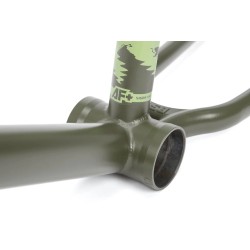 CADRE BMX BSD ALVX AF + (Alex DONNACHIE) 21,2'' VERT